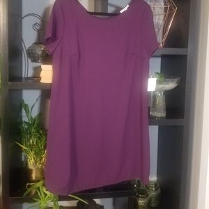 NWT  Charlotte Russe purple shift dress